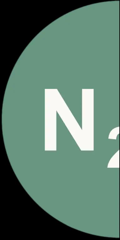 N2O